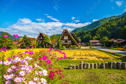 Quadro su tela 岐阜県白川郷　秋の風景　