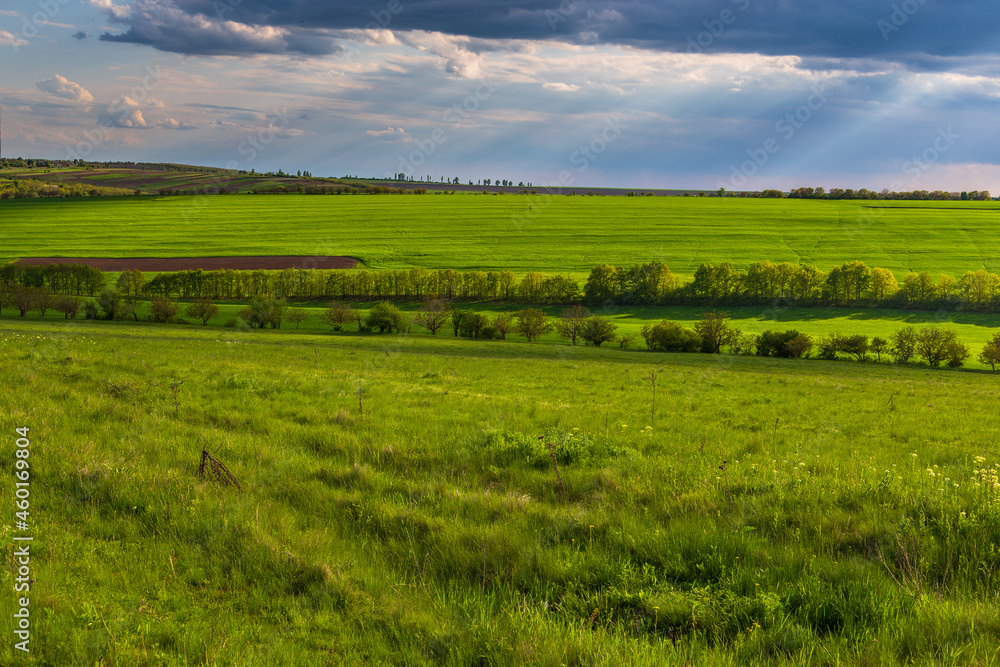 Farmlands and meadows in the Moldavian, Republic of Moldova.