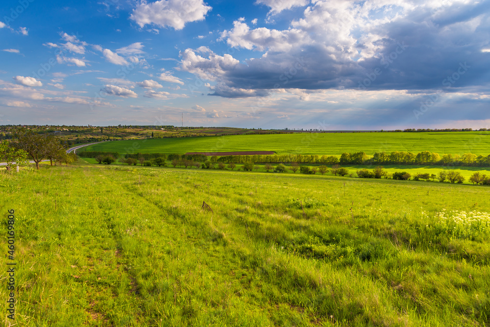 Farmlands and meadows in the Moldavian, Republic of Moldova.
