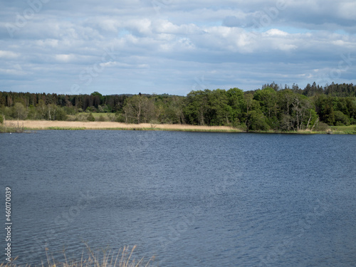 Fresh water lake on over cloudy day. Wooden pathway in landscape of reeds near Silkeborg in Denmark. Called Trækstien.