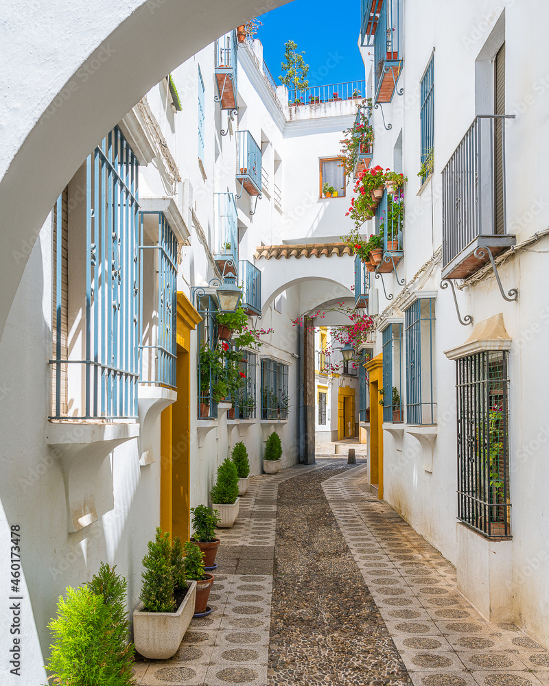 Scenic sight in the picturesque Cordoba jewish quarter. Andalusia, Spain. - obrazy, fototapety, plakaty 