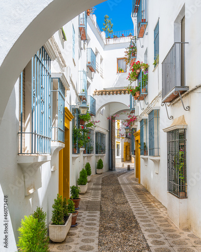 Fototapeta Naklejka Na Ścianę i Meble -  Scenic sight in the picturesque Cordoba jewish quarter. Andalusia, Spain.