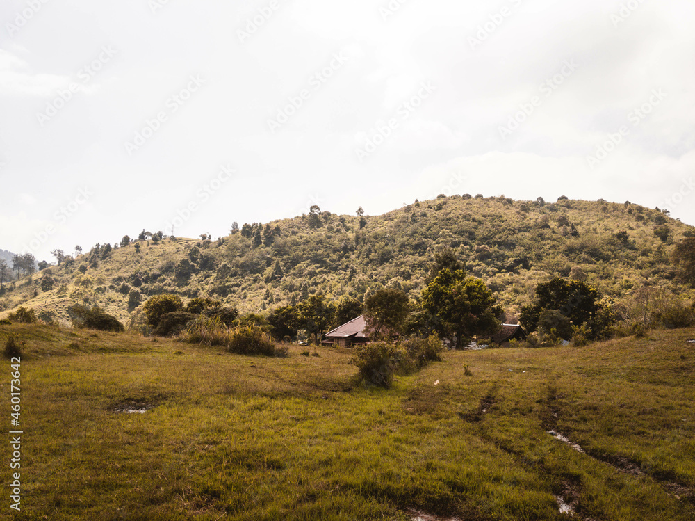 Naklejka premium mountain hill view and one house