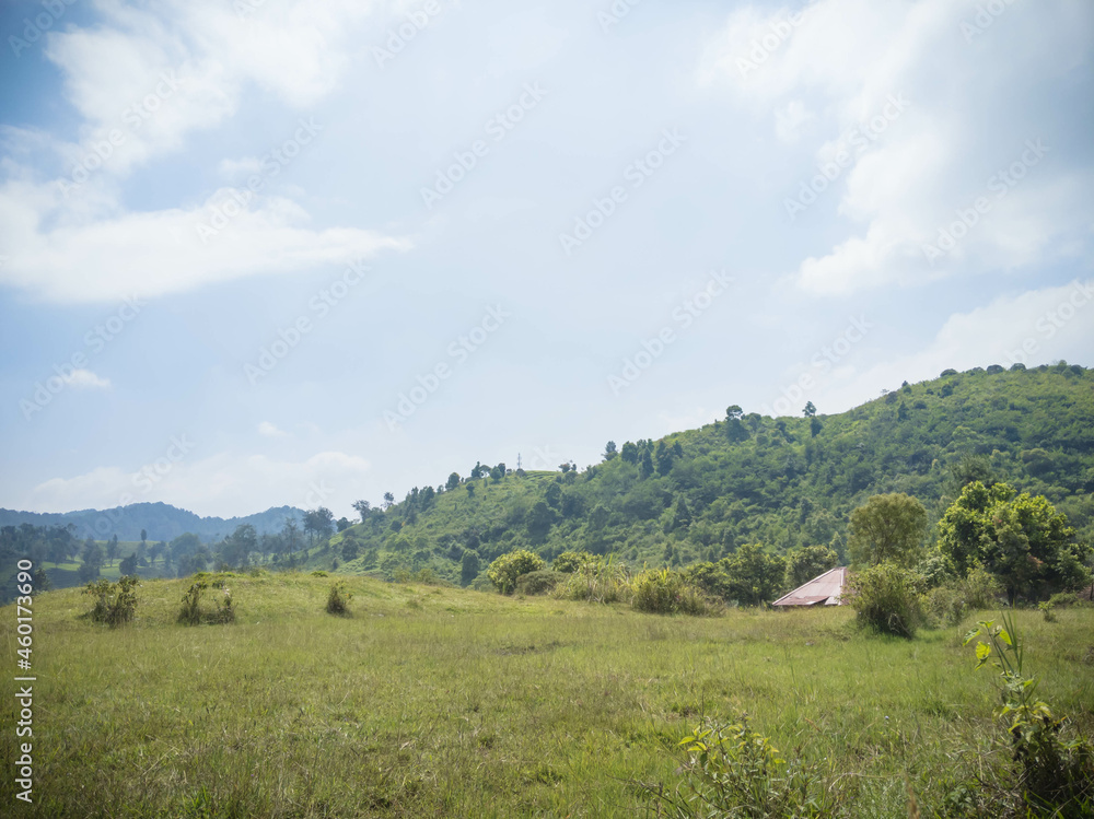 mountain slopes green trees mountains