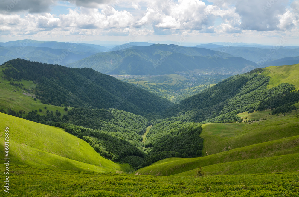 Naklejka premium Green fields and mountains, blue sky with clouds. Carpathian mountains in late summer. Carpathians, Ukraine