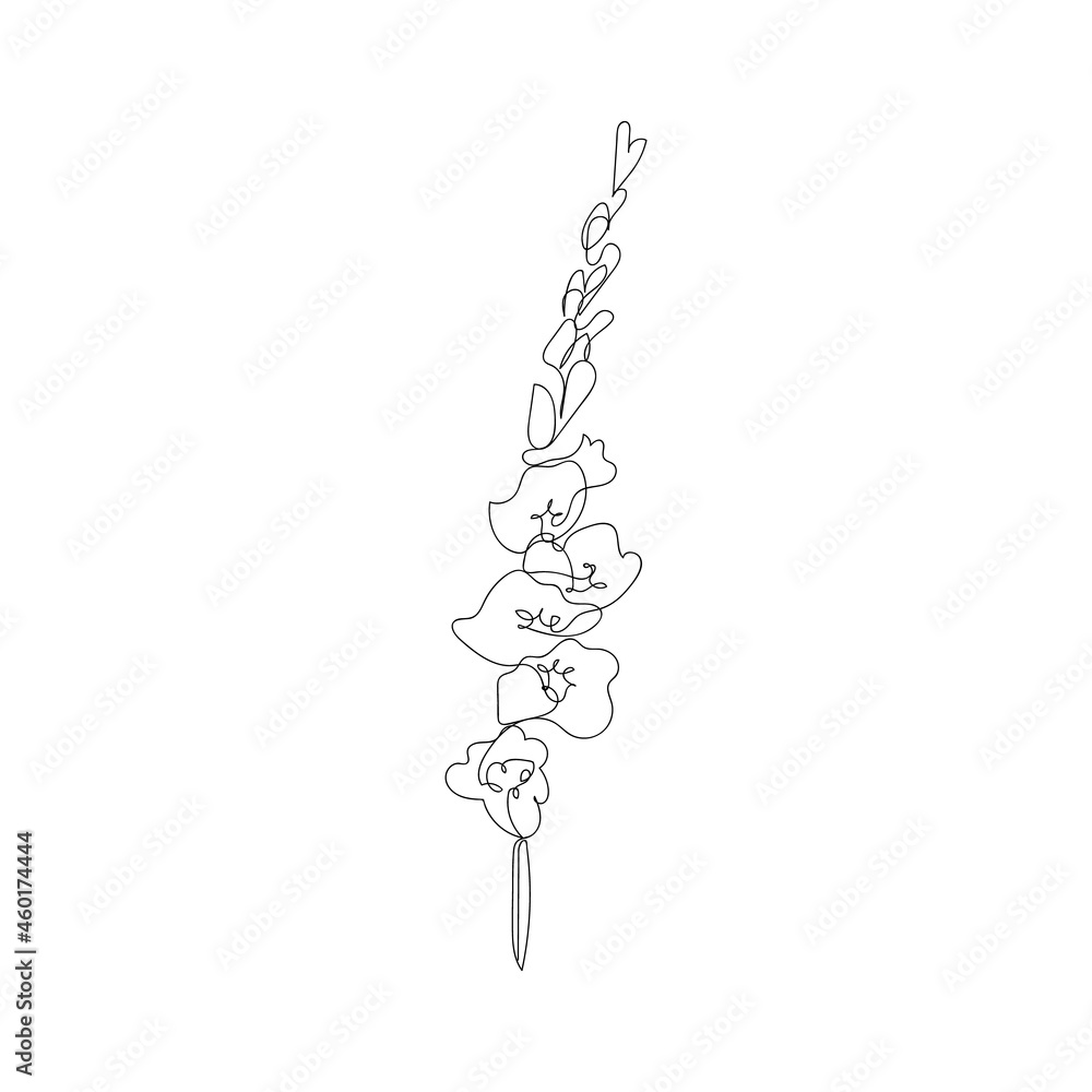 Continuous one line gladiolus flower. Moden style flower for logo, icon emblem or web banner. Hand drawn minimalism style vector illustration. Continuous one line gladiolus flower. Moden style flower for logo, icon emblem or web banner. Hand drawn minimalism style vector illustration.
