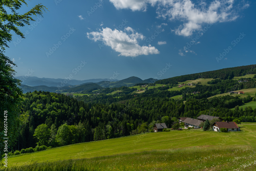 Obraz premium Pass near Niederer Schockl hill with green meadows and fences in Austria