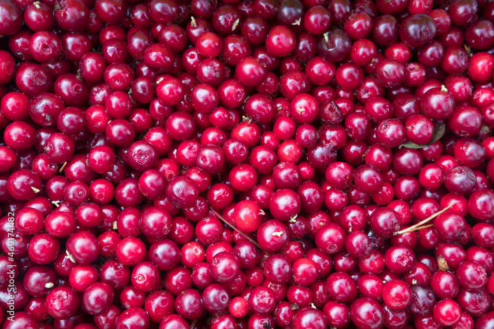 Wild berries - cranberries, lingonberries, blueberries. Close-up. Wild berries - cranberries, lingonberries, blueberries. Close-up.