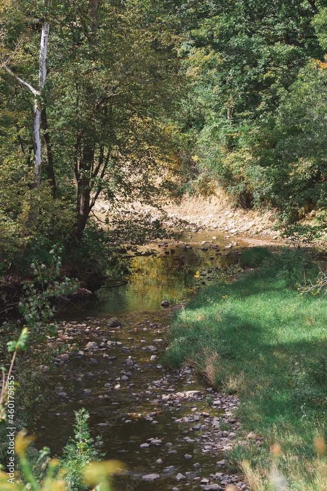 Fototapeta premium Nature Landscape