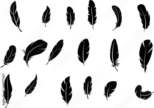 Big set of bird feathers design. fluffy swan. soft bird plumage set. Pen icons design. set of bird feathers design