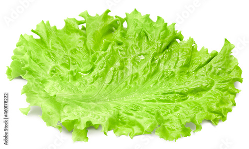Valokuva Salad leaf