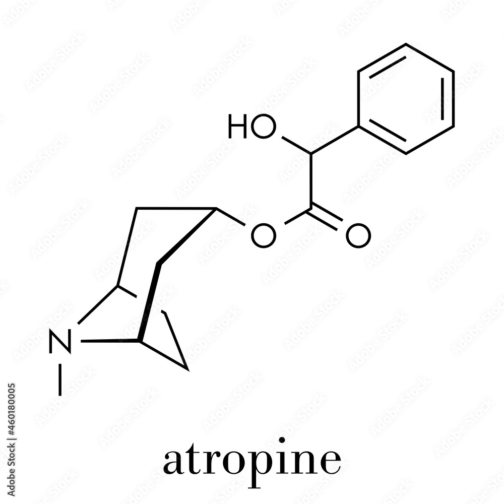 Atropine deadly nightshade (Atropa belladonna) alkaloid molecule. Medicinal drug and poison also found in Jimson weed (Datura stramonium) and mandrake (Mandragora officinarum). Skeletal formula. Atropine deadly nightshade (Atropa belladonna) alkaloid molecule. Medicinal drug and poison also found in Jimson weed (Datura stramonium) and mandrake (Mandragora officinarum). Skeletal formula.