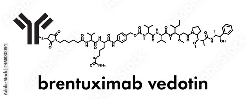 Brentuximab vedotin antibody-drug conjugate molecule. Consists of monoclonal antibody conjugated to 3-5 molecules of monomethyl auristatin E. Skeletal formula.