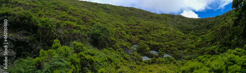 Detail of typical landscape in the Azores archipelago, Portugal