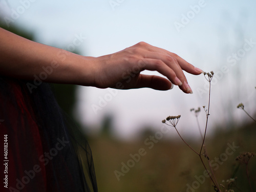 woman touching plant