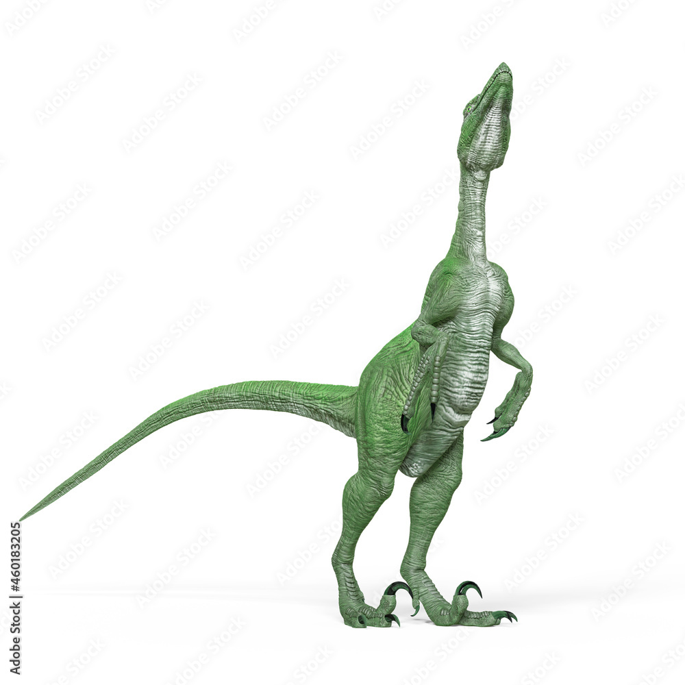 Fototapeta premium deinonychus is looking up