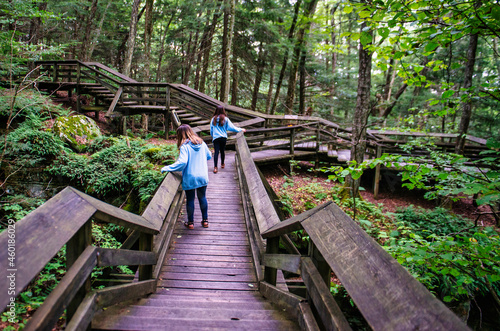 Woman Tourist on Bridge in Nature