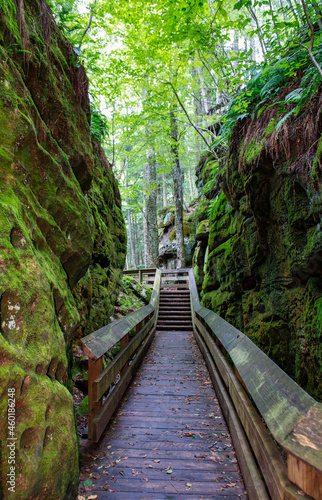 Bridge in Forest with Moss Covered Boulders