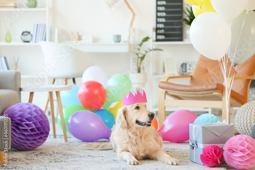 Adorable dog celebrating bi...