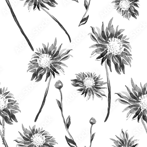 Fototapeta Naklejka Na Ścianę i Meble -  Black ink Chrysanthemum flowers isolated, stems and buds in monochrome halftones on white background. Hand drawn seamless pattern for created floral design, wallpaper, textile, fabric, poster.