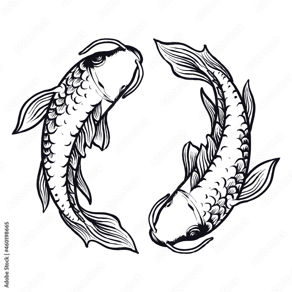 Fototapeta premium Yin Yang Koi Fish Japanese vector illustration premium tshirt design