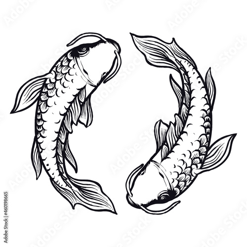 Yin Yang Koi Fish Japanese vector illustration premium tshirt design