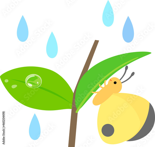 葉の裏で雨宿りする蝶