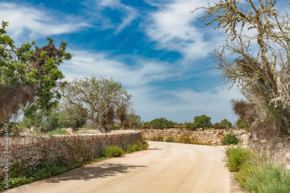 Rural Majorca in the south of the island-8727 Rural Majorca in the south of the island-8727