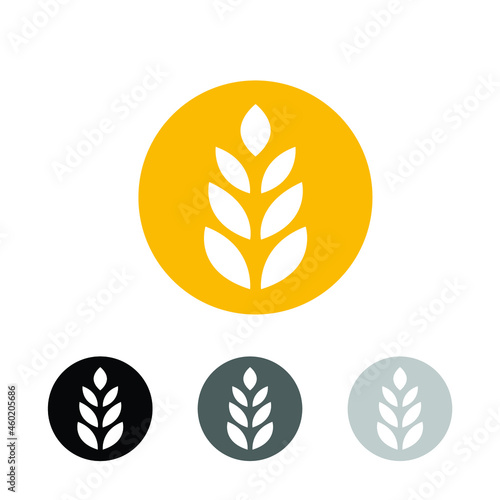 circle yellow paddy wheat barley plant harvest agriculture image vector - Vector