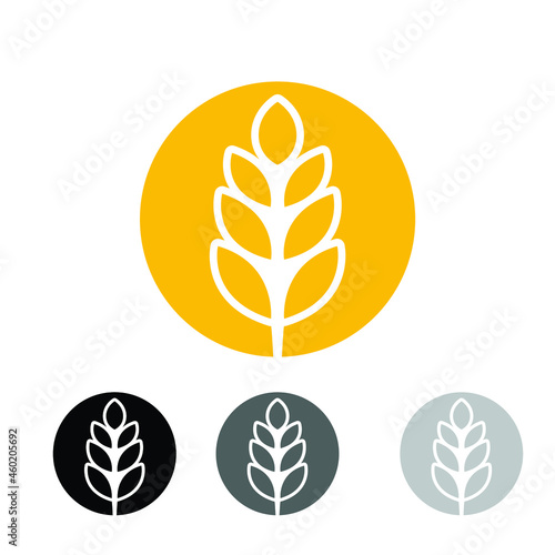 circle yellow paddy wheat barley plant harvest agriculture image vector - Vector