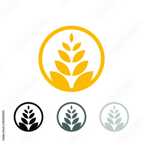 circle yellow paddy wheat barley plant harvest agriculture image vector - Vector