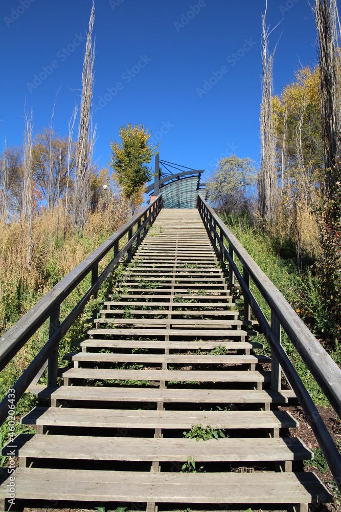 Obraz premium Stairs To The Top, Louise McKinney Park, Edmonton, Alberta