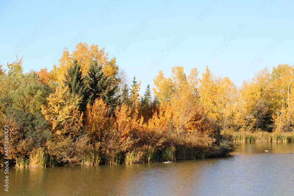 Autumn On The Water, Jackie Parker Park. Edmonton, Alberta
