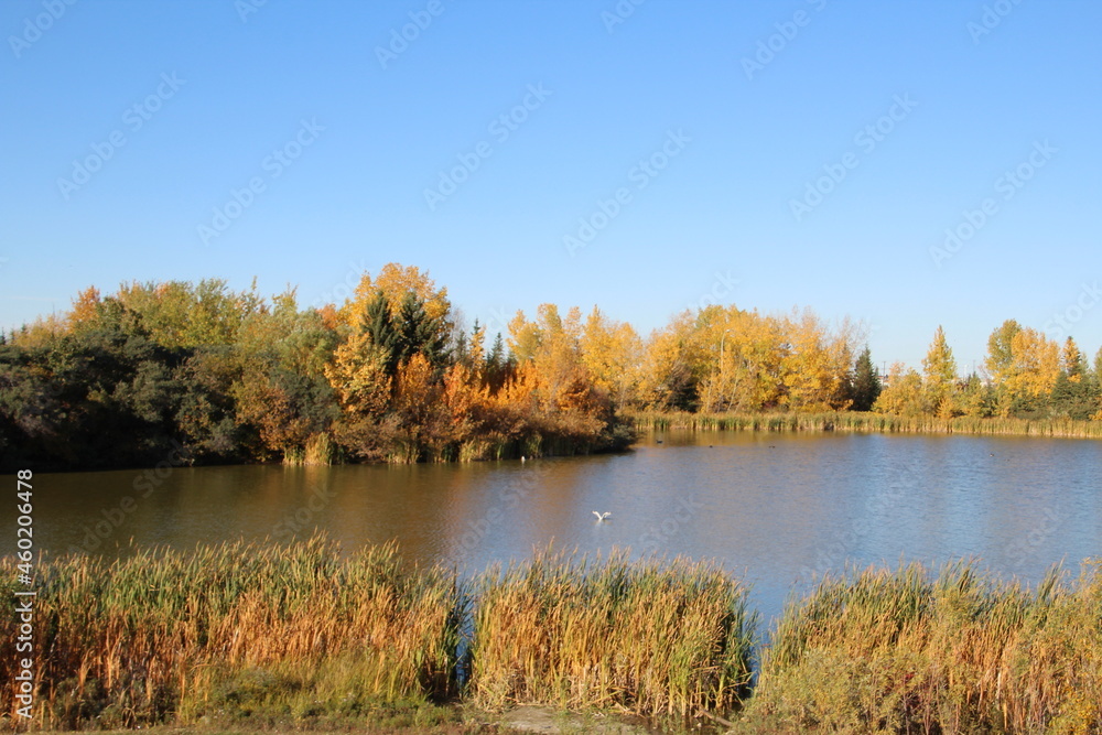 Autumn By The Lake, Jackie Parker Park. Edmonton, Alberta