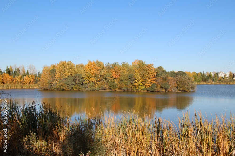 Island Of Autumn, Jackie Parker Park, Edmonton, Alberta Island Of Autumn, Jackie Parker Park, Edmonton, Alberta