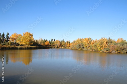 Fototapeta Naklejka Na Ścianę i Meble -  Fall On The Lake, Jackie Parker Park, Edmonton, Alberta
