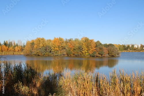 Island Of Autumn, Jackie Parker Park, Edmonton, Alberta