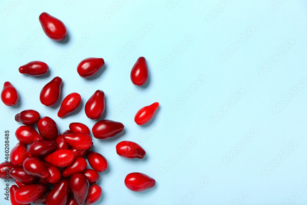 Red fresh dogwood berries on color background Red fresh dogwood berries on color background