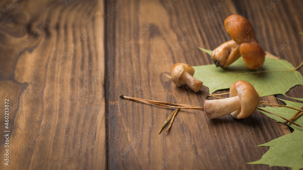 Small forest mushrooms and autumn leaves on a wooden table.