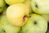 yellow apples, close-up