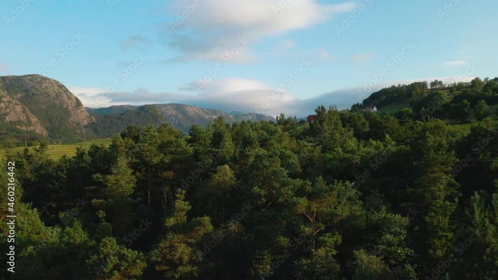 Beautiful green mountain forest in Norway on a sunny day -Aerial Beautiful green mountain forest in Norway on a sunny day -Aerial