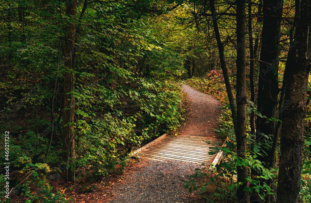 Fall scenics of waterfalls and rural farm and barn settings featuring sunsets and colourful autumn landscapes. Fall scenics of waterfalls and rural farm and barn settings featuring sunsets and colourful autumn landscapes.