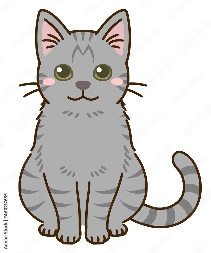 猫(サバトラ) 猫(サバトラ)