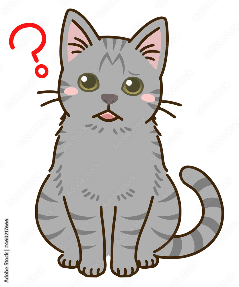 Obraz premium 疑問に思う猫（サバトラ）