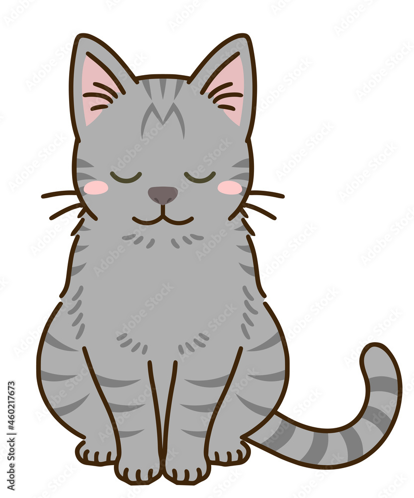 おじぎする猫(サバトラ) おじぎする猫(サバトラ)