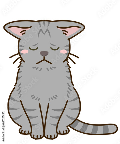 落ち込む猫（サバトラ）