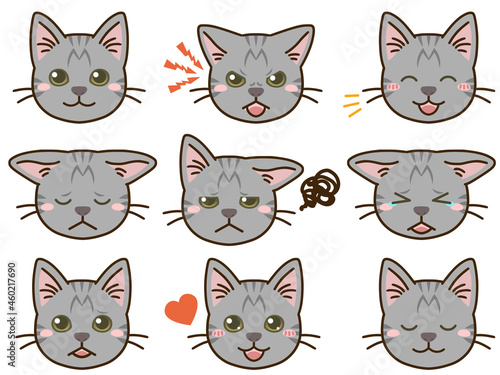 猫（サバトラ）の表情顔アイコン