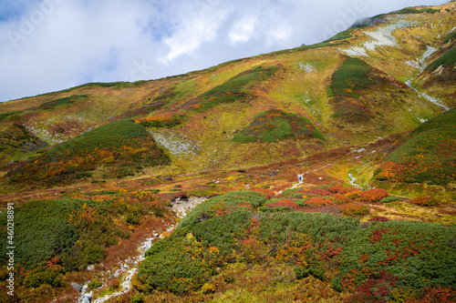                                                                                Scenery of climbing Tateyama Mountain in Tateyama Town  Toyama Prefecture  Japan during the season of autumn leaves. 