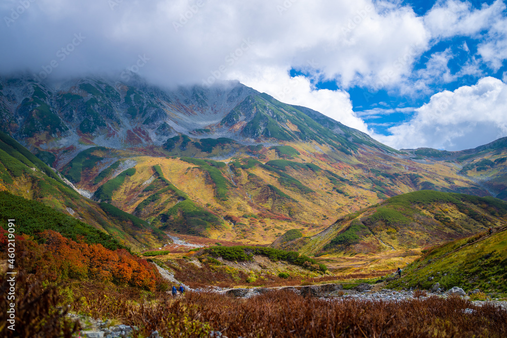 Obraz premium 富山県立山町の立山の秋の紅葉の季節に登山している風景 Scenery of climbing Tateyama Mountain in Tateyama Town, Toyama Prefecture, Japan during the season of autumn leaves.