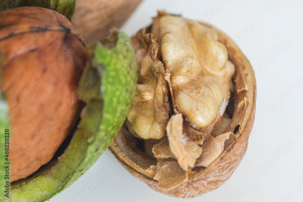 Fototapeta premium half a walnut on a gray-white background macro